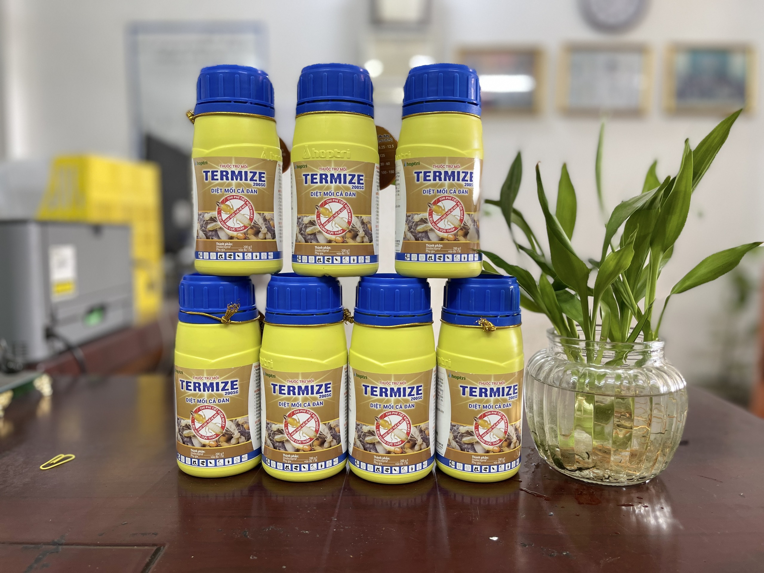 Hoá chất diệt mối thế hệ mới TERMIZE 200SC chai 250ml