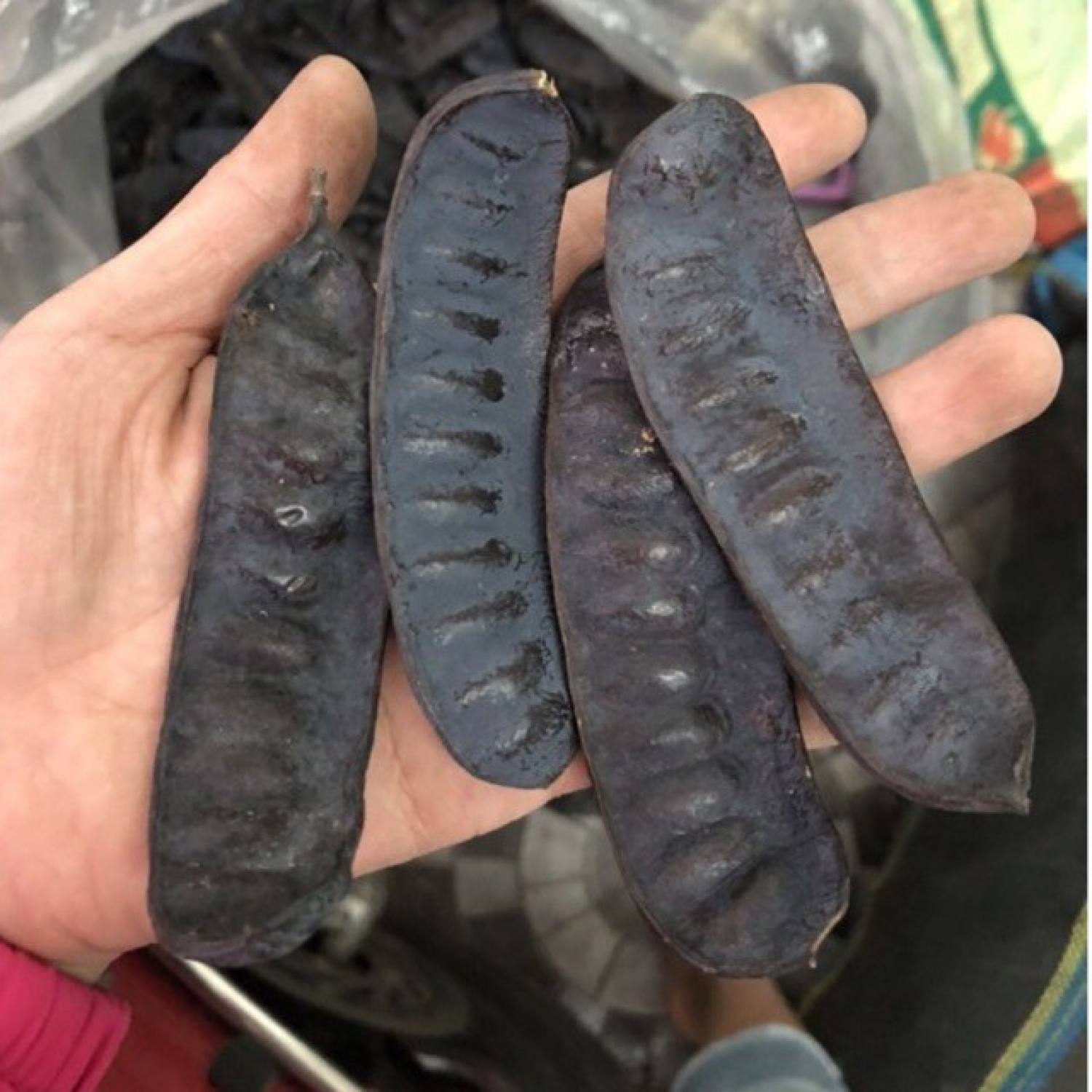 Bồ kết khô chín rụng 1kg