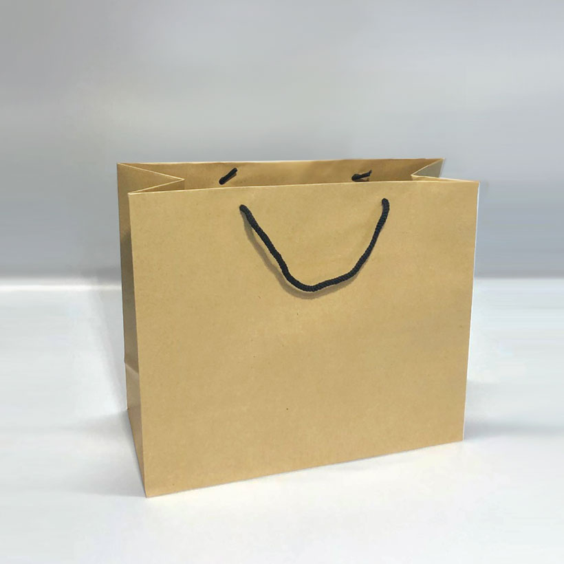 Combo 10 Túi Giấy Kraft trơn KT08 (26 x 30 x 12)