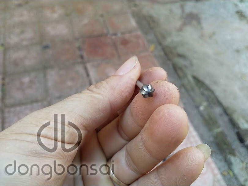 Mũi lũa cầu trục 3mm MLC3.6.6R