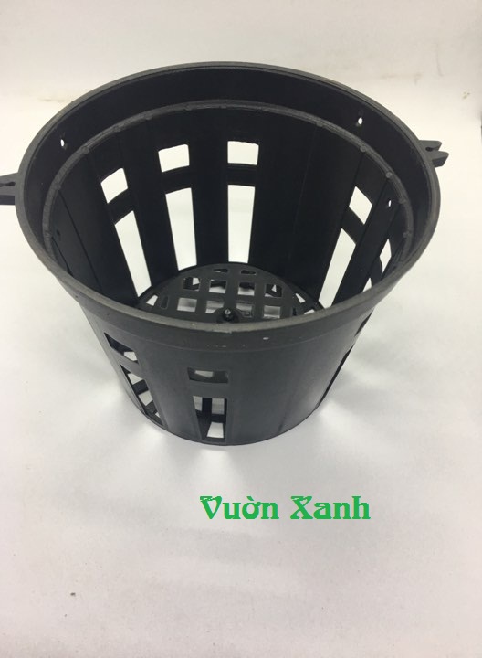 Combo 50 Chậu Nhựa Trồng Lan Phi 12
