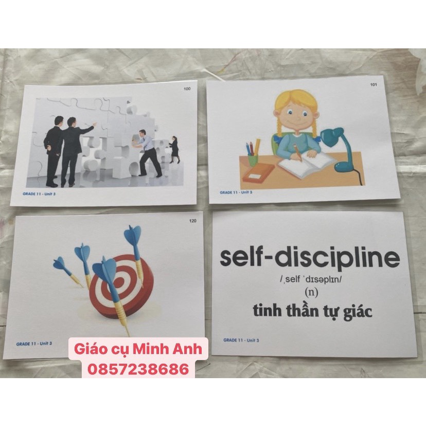 Flashcard SUPER MIND STARTER - 64 thẻ ép plastic
