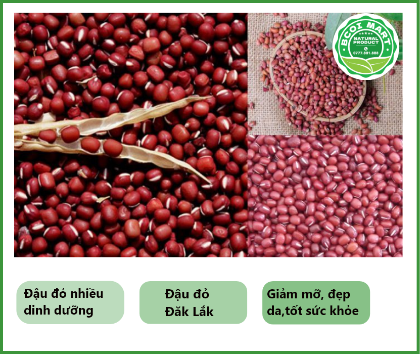 Đậu đỏ Đắk Lắk - Red beans - dau do Dak Lak - hạt nhỏ