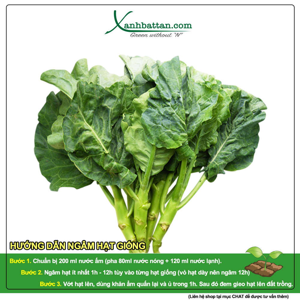 Hạt Giống Cải Rổ Phú Nông Gói 10 Gram