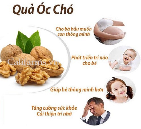 MIXED NUTS 8 LOẠI HẠT DINH DƯỠNG (-MACCA ÓC CHÓ VÀNG -ÓC CHÓ ĐỎ -HẠT ĐIỀU -HẠNH NHÂN -DẺ CƯỜI BÍ XANH- HƯỚNG DƯƠNG ) - LÀM SỮA CHO BÉ