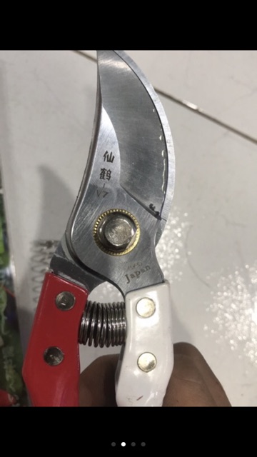 Kéo tỉa cây 20cm