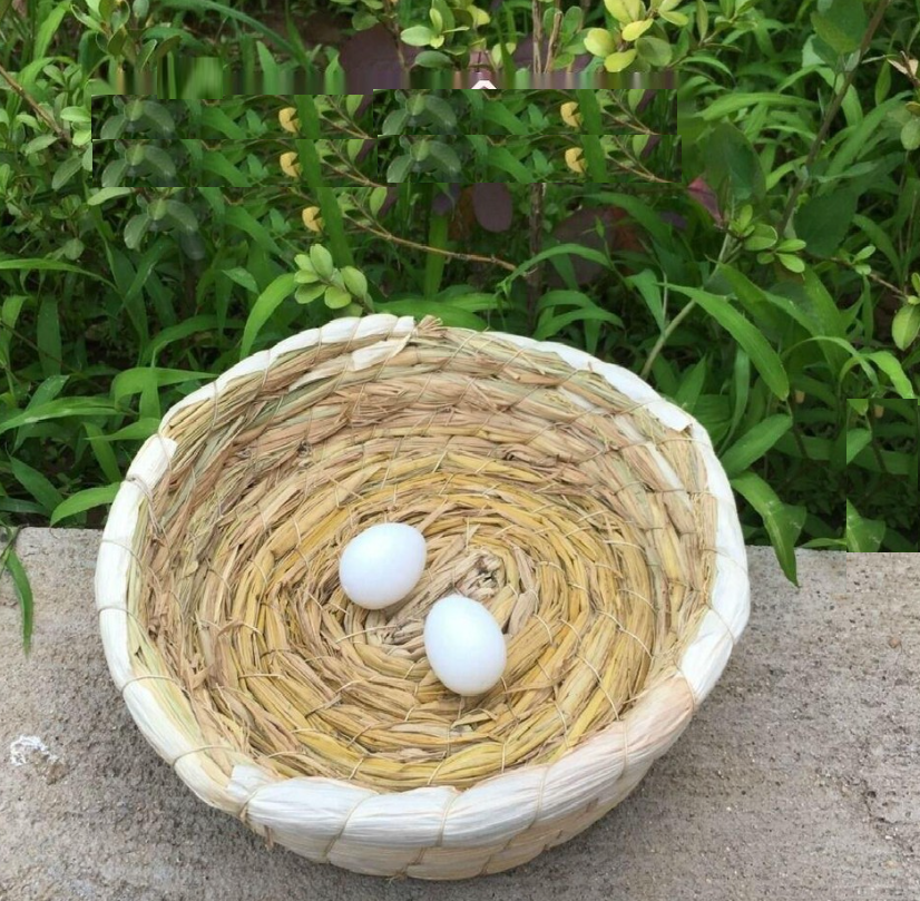 Tổ đan rơm, đan cỏ dùng làm tổ ngủ, tổ đẻ cho finch, chim, vẹt