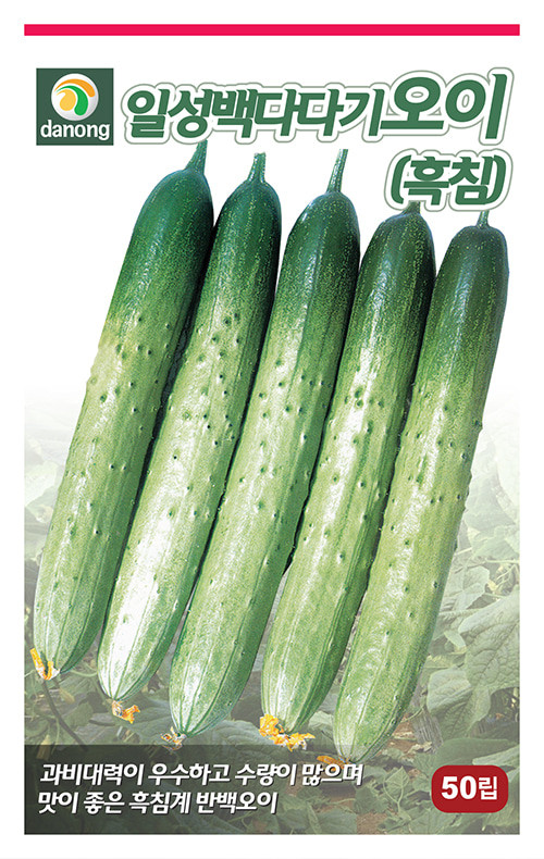 Hạt giống Dưa Chuột Nếp Hàn Quốc