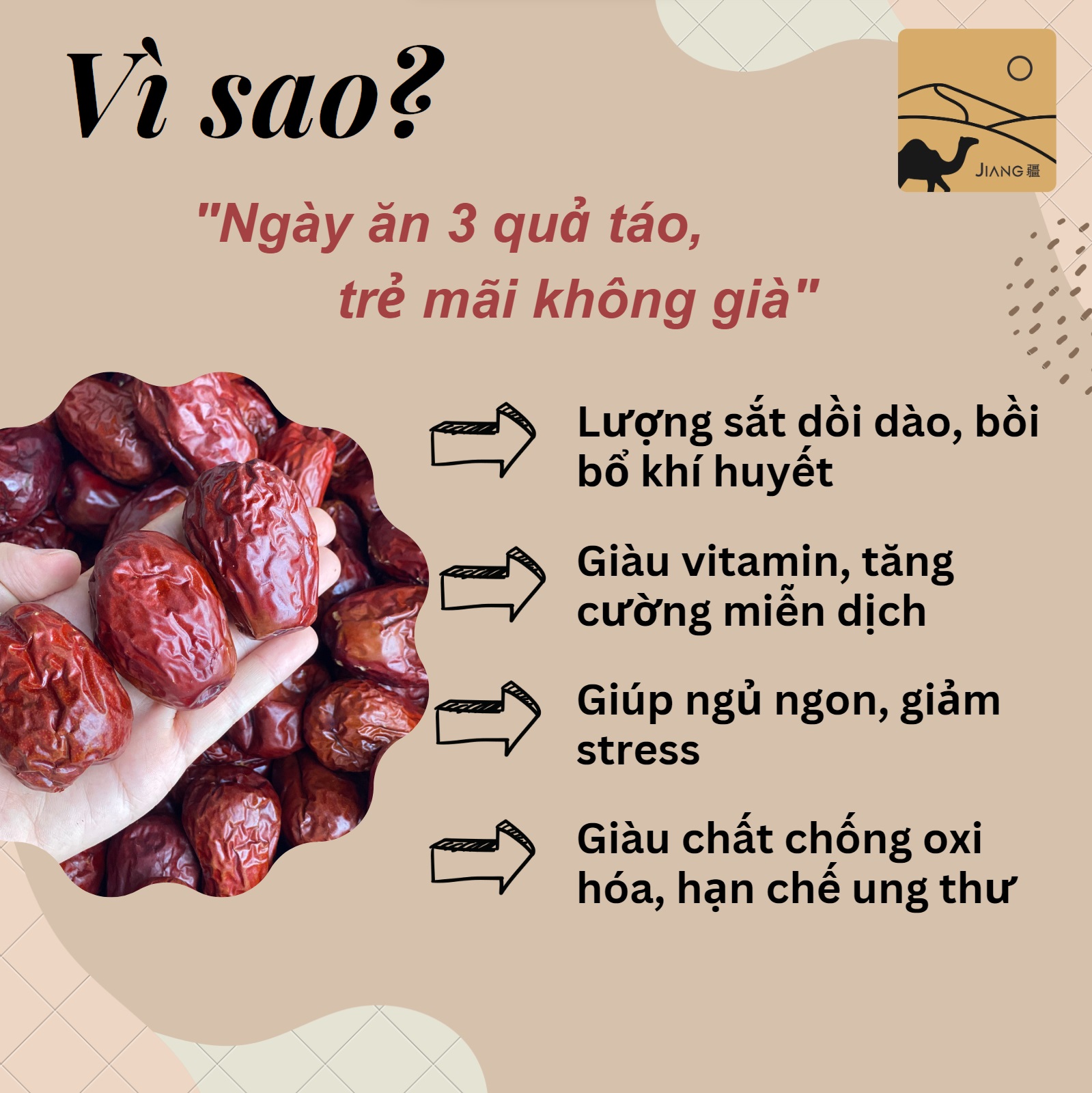Vua táo Hòa Điền Tân Cương size trứng gà, vỏ mỏng, thịt mềm dẻo, ngọt thanh thích hợp ăn vặt và hãm trà - Jiang Hà Nội
