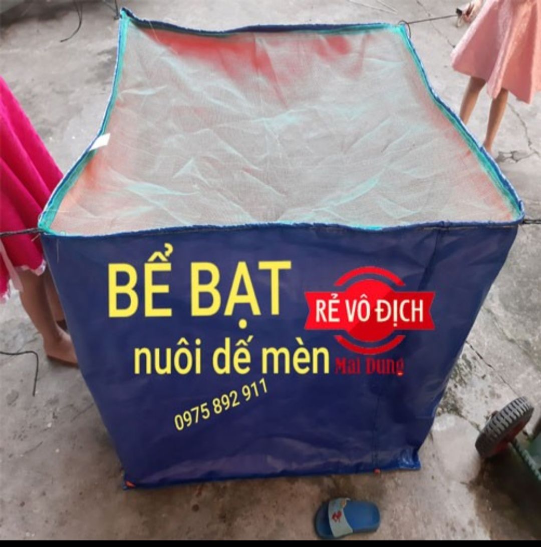 bể bạt nuôi dế mèn
