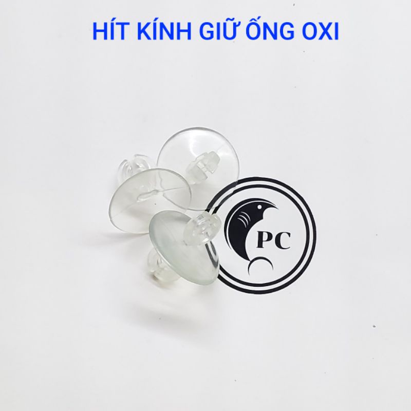 Hít kính giữ ống, giữ dây sủi