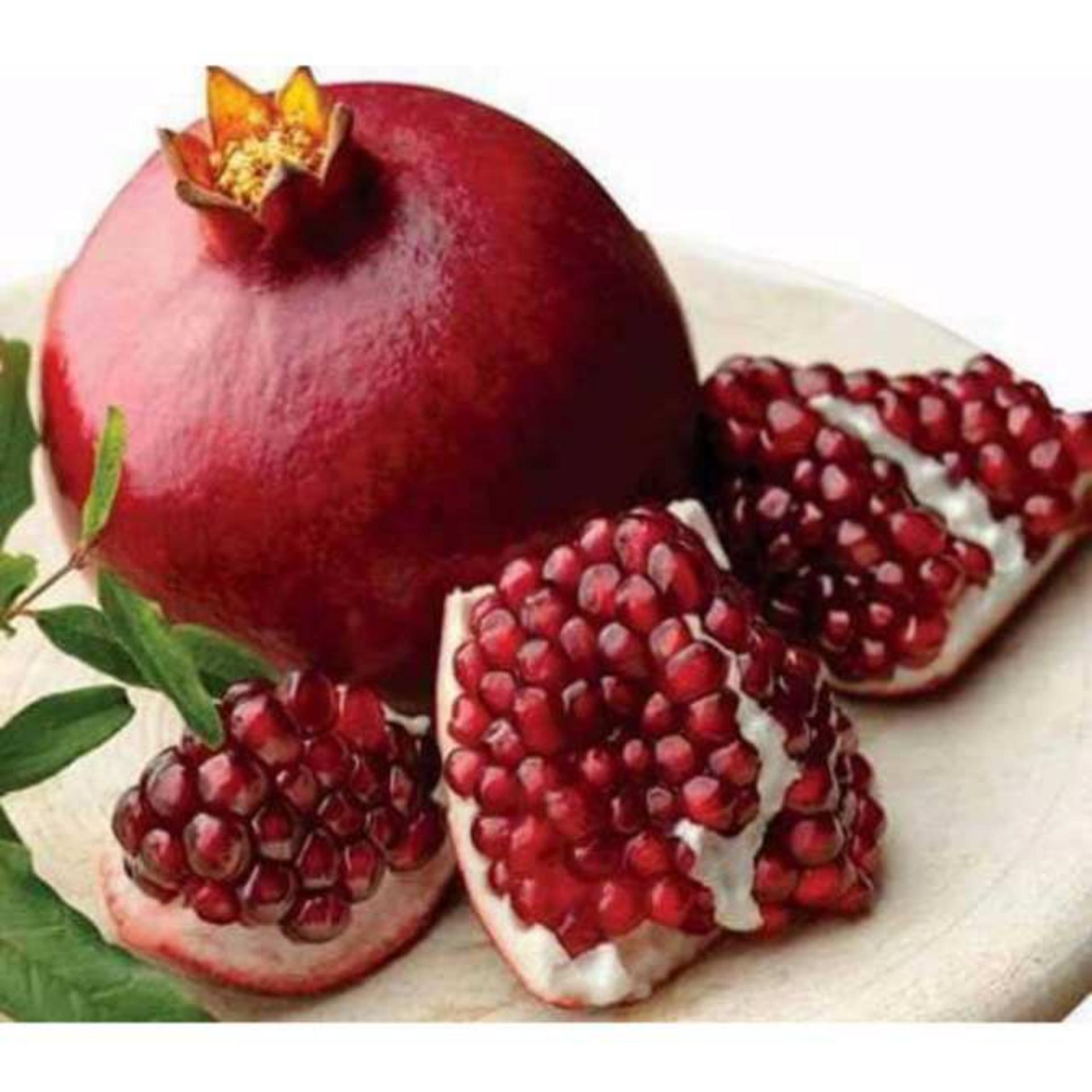 15 Hạt giống Lựu lùn (tặng Kích nẩy mầm, Hướng dẫn ươm)