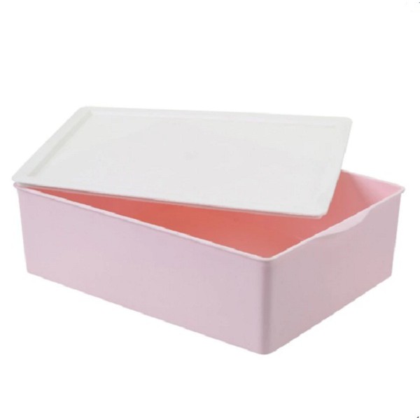 Khay đựng áo ngực HomeStar Hando