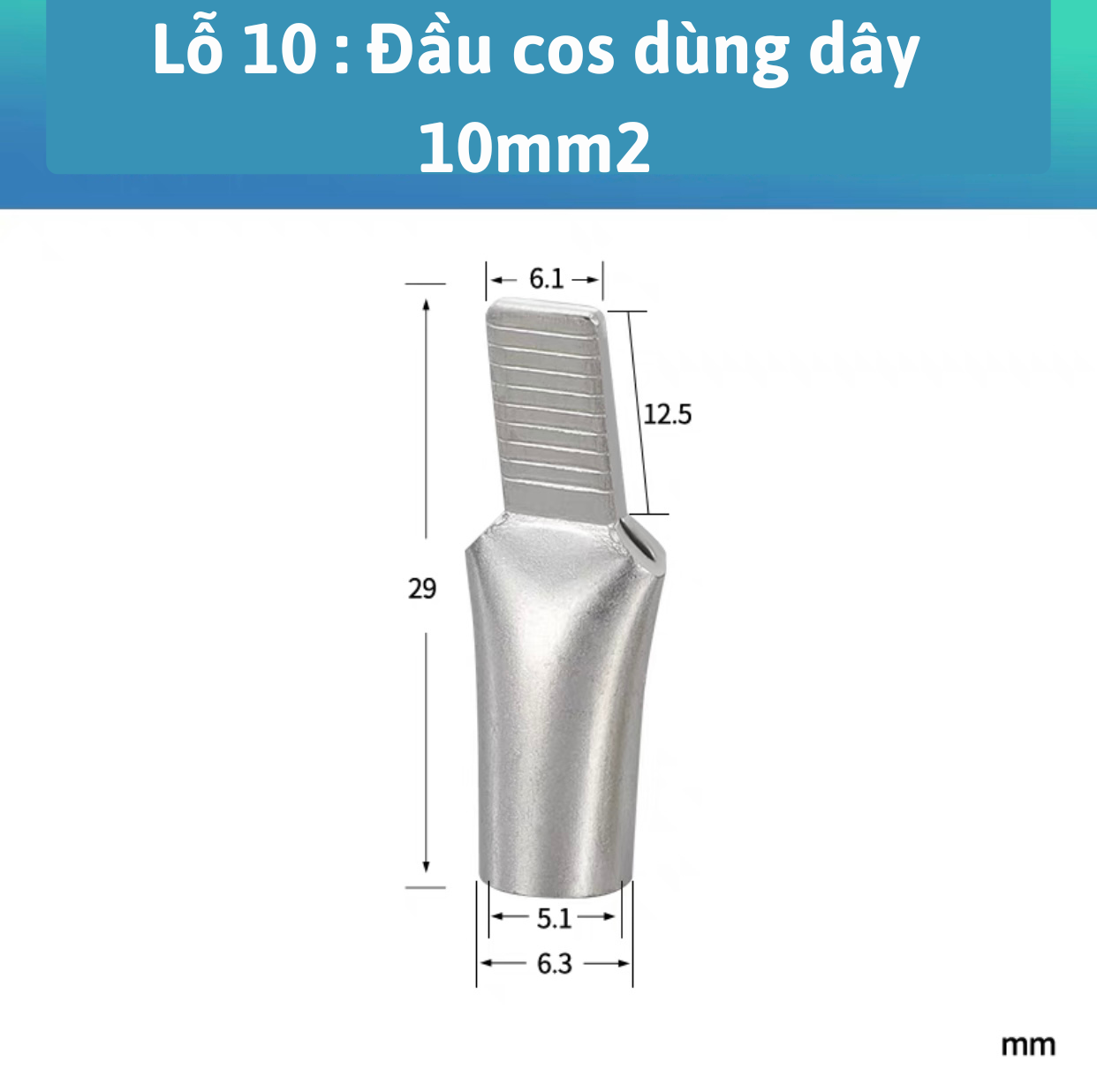 Cos mỏ vịt dẹp, đầu cos mỏ vịt dẹt,cos trần bấm dây