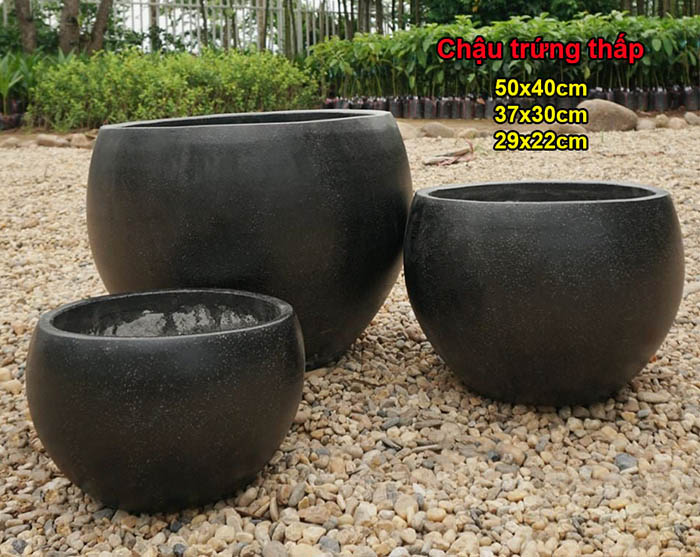 CHẬU XI MĂNG ĐÁ MÀI TRỨNG GÁO