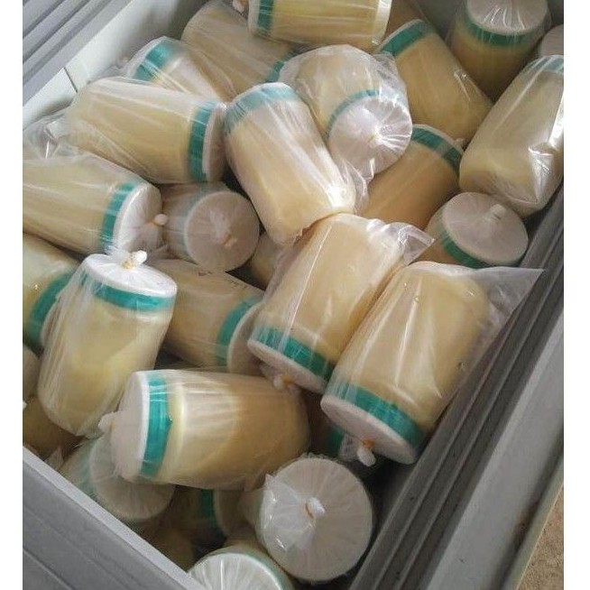 Sữa ong chúa tươi lọ 100g