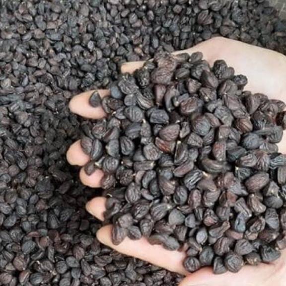 500g hạt dổi nếp rừng loại 1