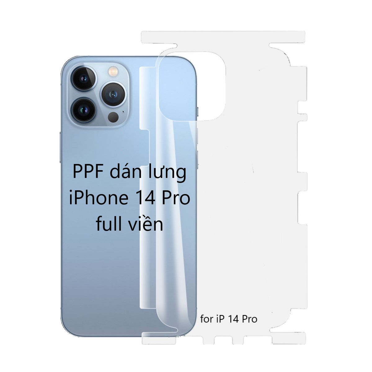 PPF miếng dán mặt lưng iPhone X 11 12 13 14 Pro Max Mini Plus full viền