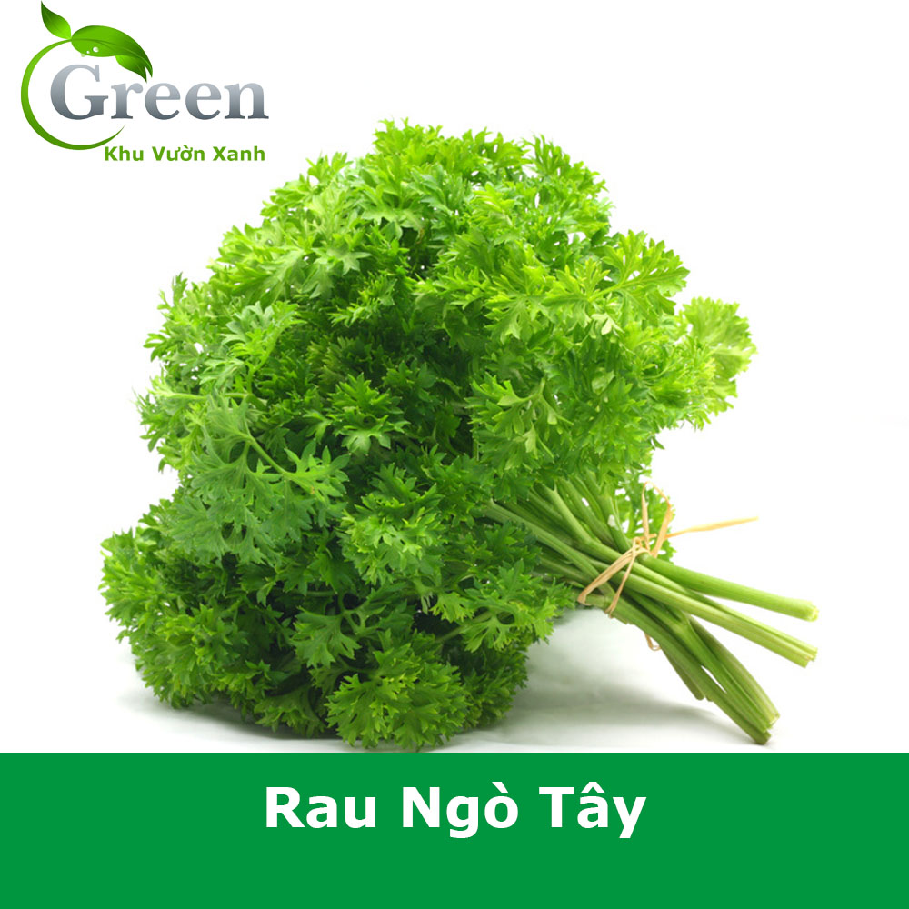 Hạt Giống Rau Ngò Tây (Gói 2 gam ~ 7000 hạt) Sinh Trưởng Khỏe, Mùi Thơm Dễ Chịu