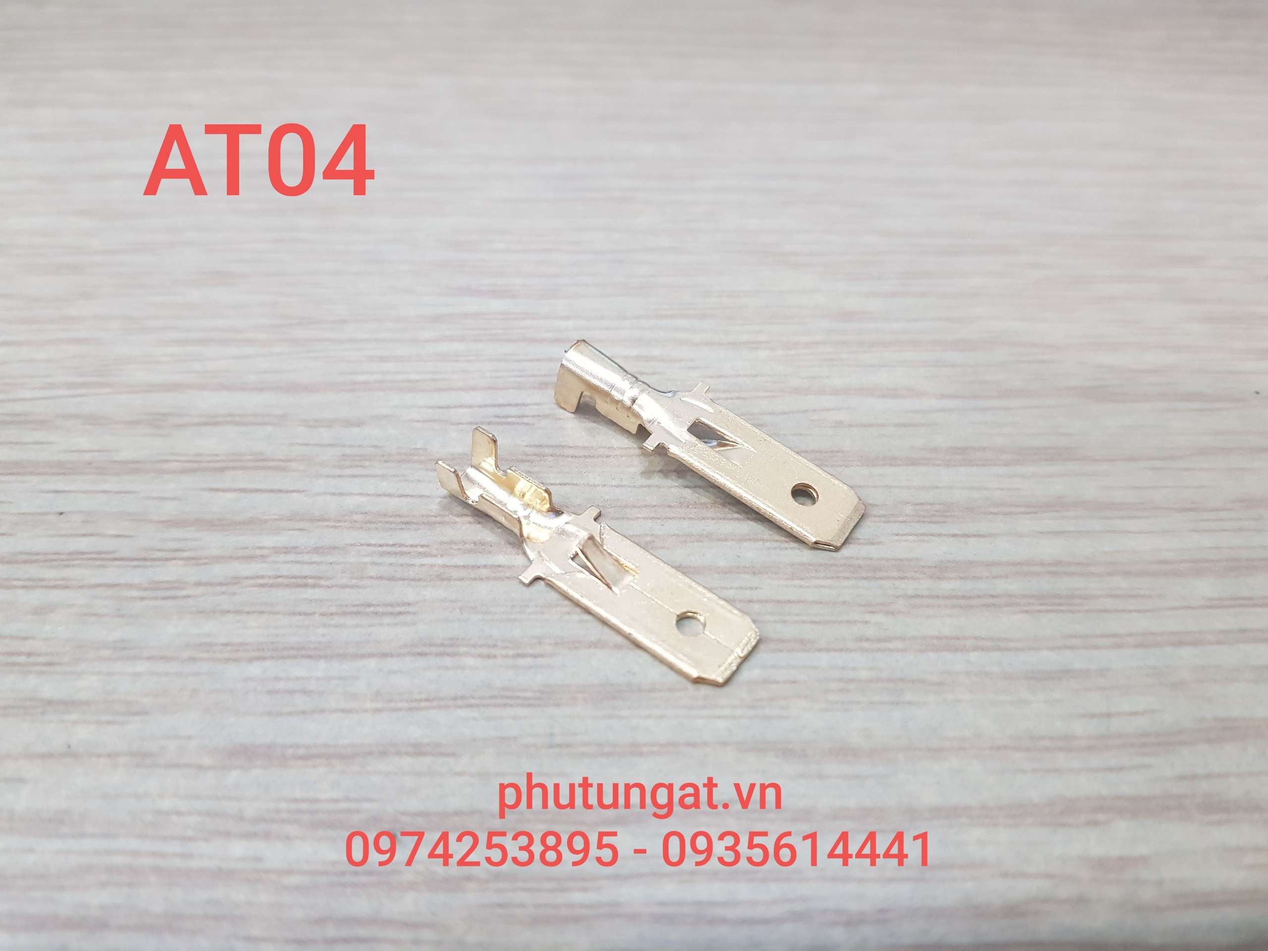 [HCM]Cos Đực Ghim 6.3 - AT04 ( 1 bịch/50 cái)