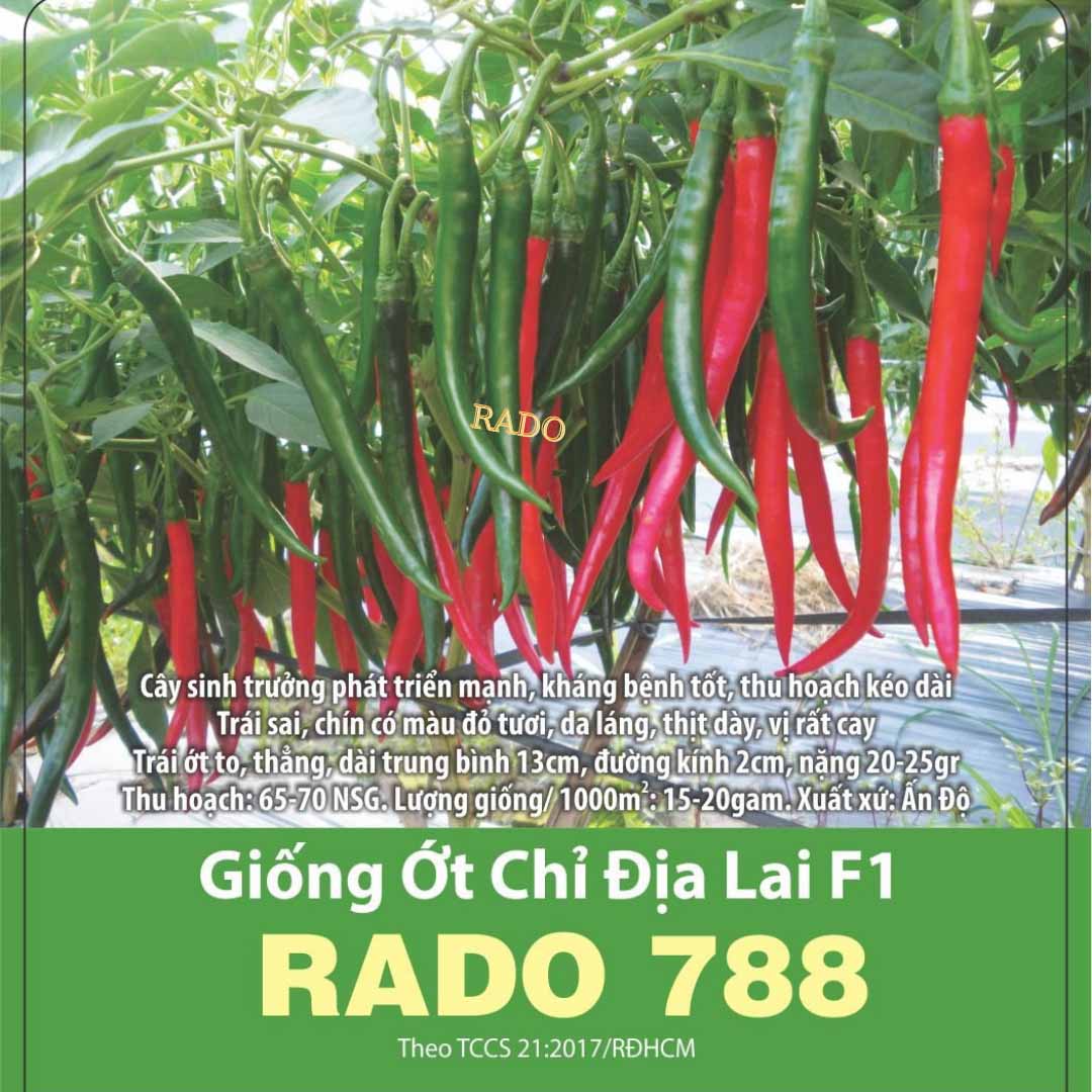 Hạt giống ớt chỉ địa lai f1 rd788, đóng gói 0.1gr, khoảng 20 hạt.