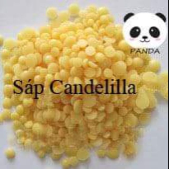 Sáp candelilla