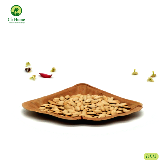 SET 10 ĐĨA LÁ- ĐĨA ĐỘC ĐÁO- CỎ HOME