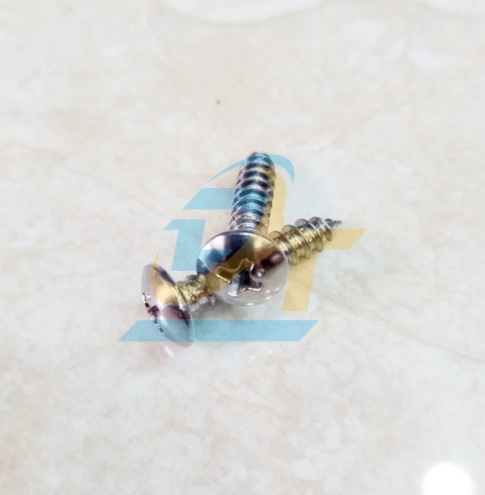 Vít gỗ đầu dù inox 304 M4x20 - M5x20 (Combo 20 con)