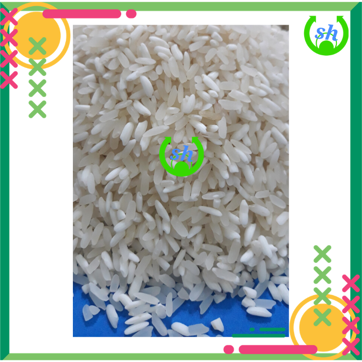 [HCM]Nếp nương Điện Biên/ nếp mèo - 1kg