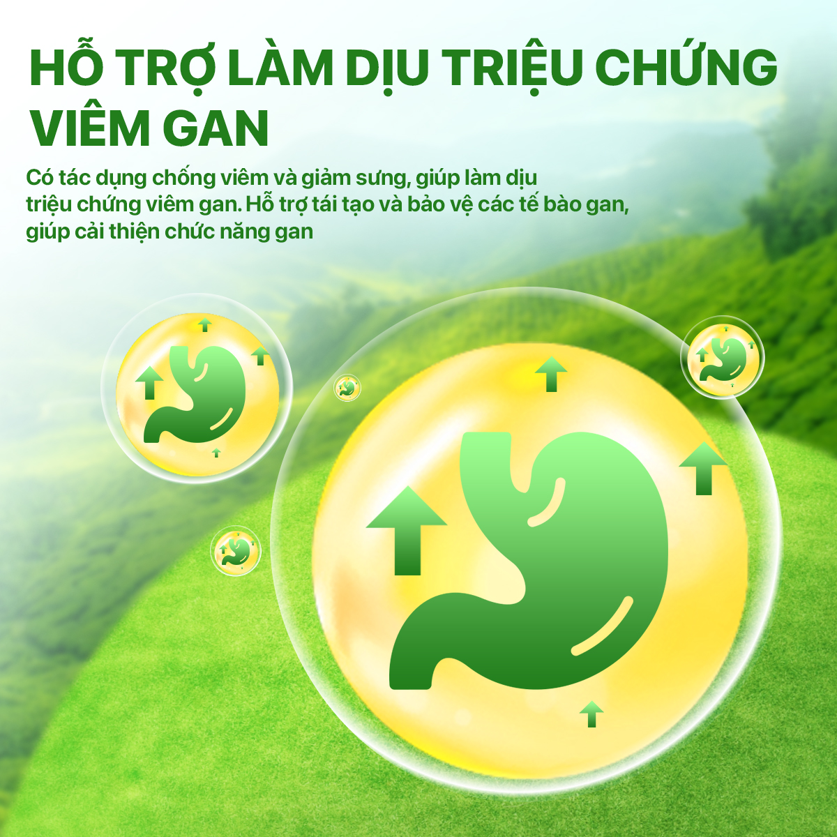 Trà xạ đen la hán quả SADU 250g