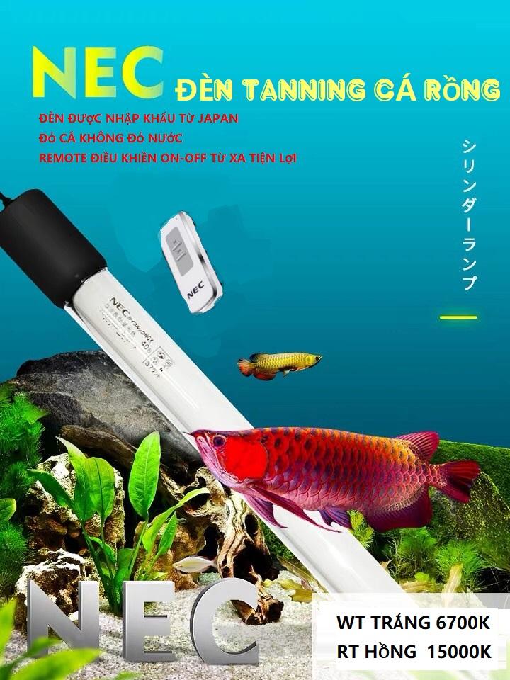 [HCM]ĐÈN CHÌM NEC TANNING CÁ RỒNG MÀU TRẮNG 128CM