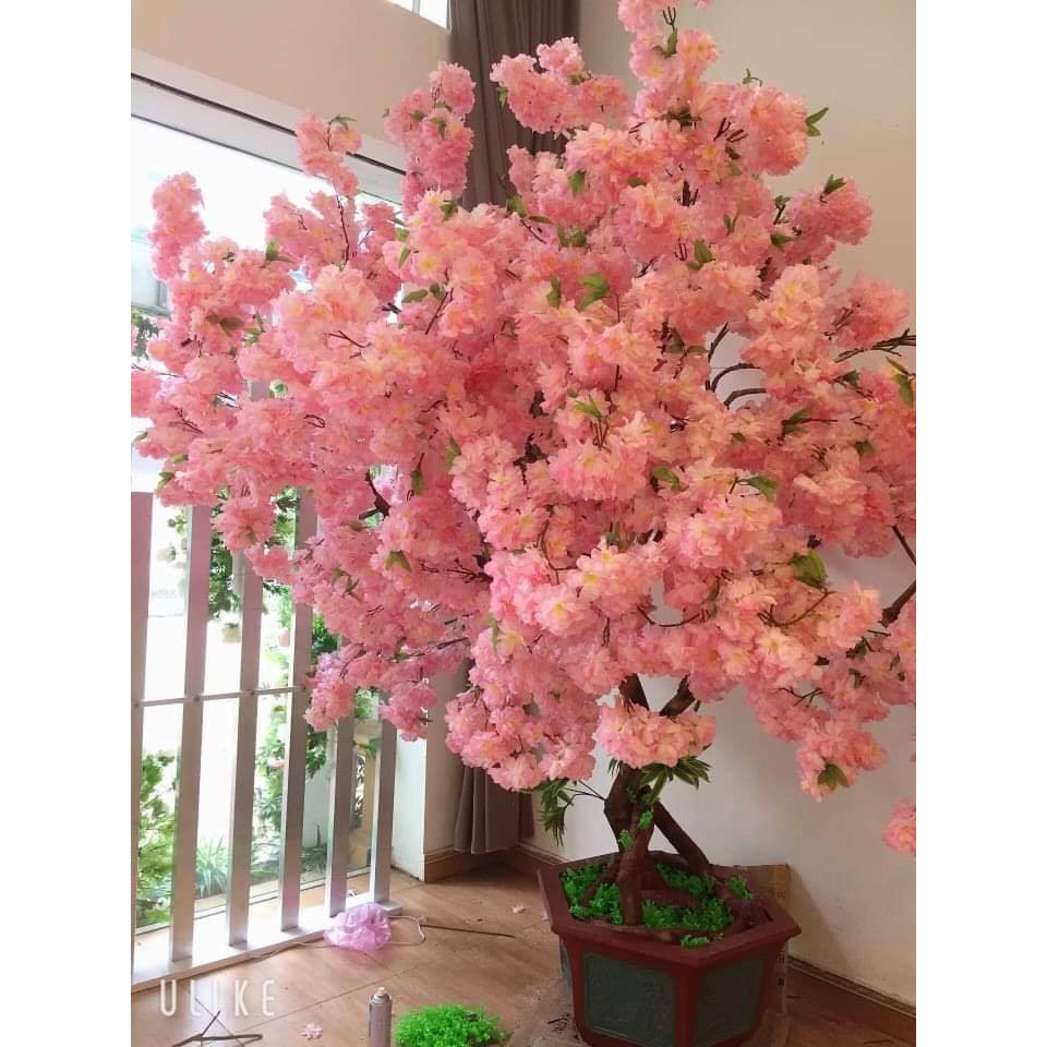 Set 10 cành hoa anh đào giả