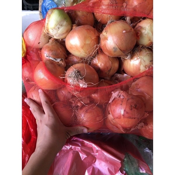 Củ Hành Tây tươi ngon túi 500g