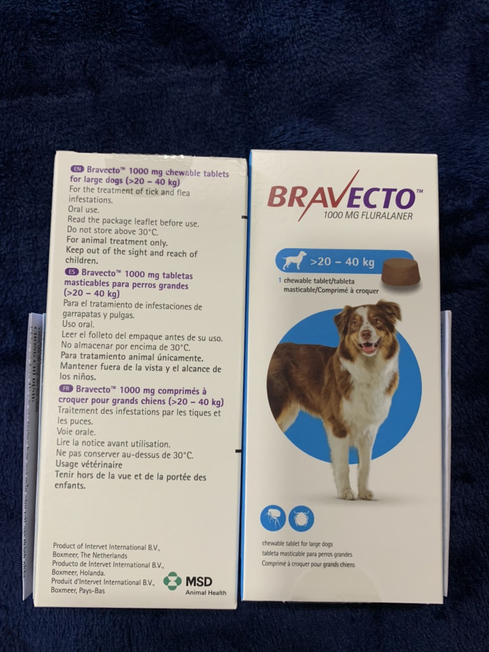 Một Viên nhai hương vị thịt dành cho cún của bạn- Bravecto 20-40kg