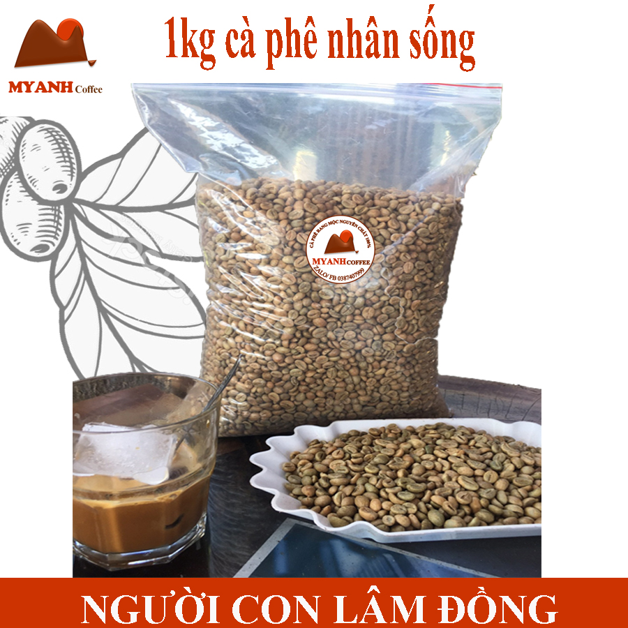 1kg Cà phê nhân sống - (tỉ lệ hái chín> 98%) cà phê Robusta - S16 - MYANH coffee