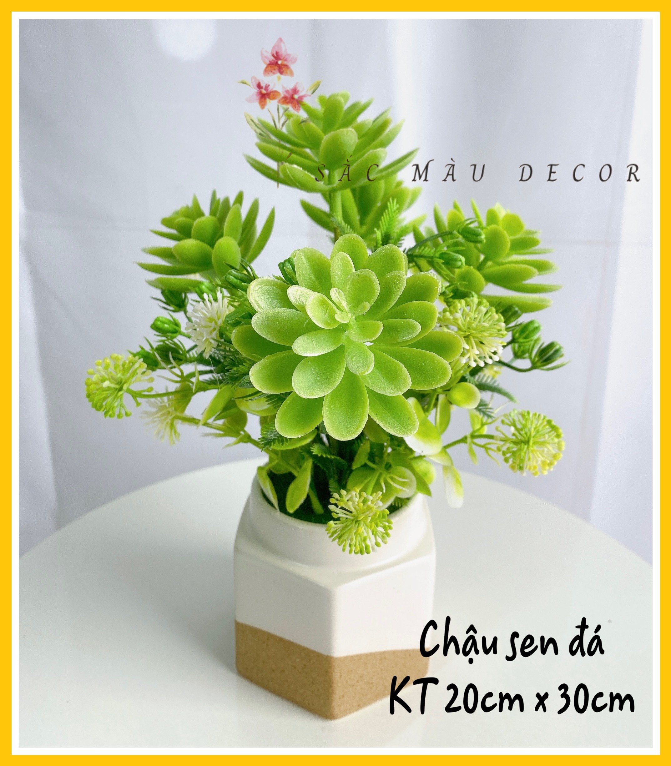 Chậu sen đá giả cao cấp trang trí không gian xanh, cây giả trang trí, cây giả decor, hoa giả trang trí, hoa giả treo tường ms 05 - Sắc màu decor
