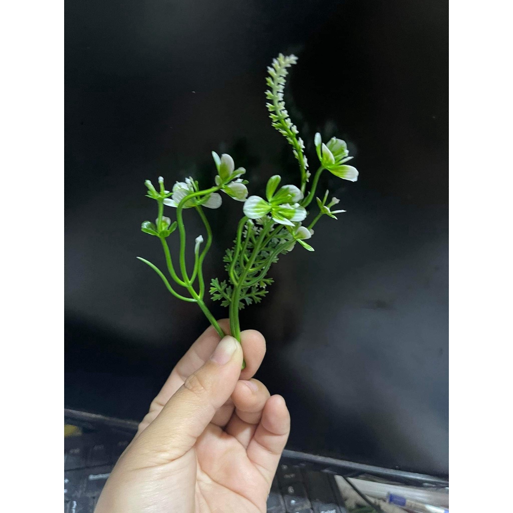 100gr hoa cỏ điểm trang trí - phần 2