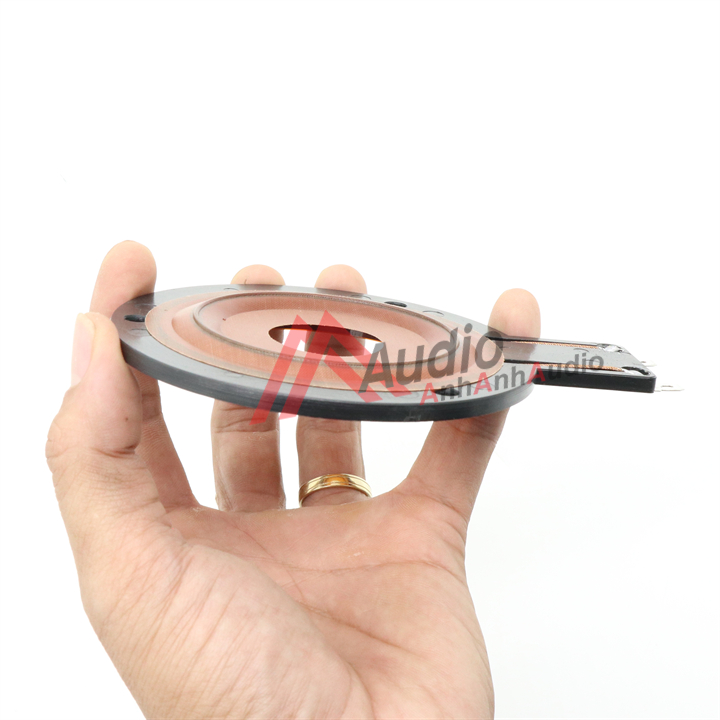 Coil treble luu dan