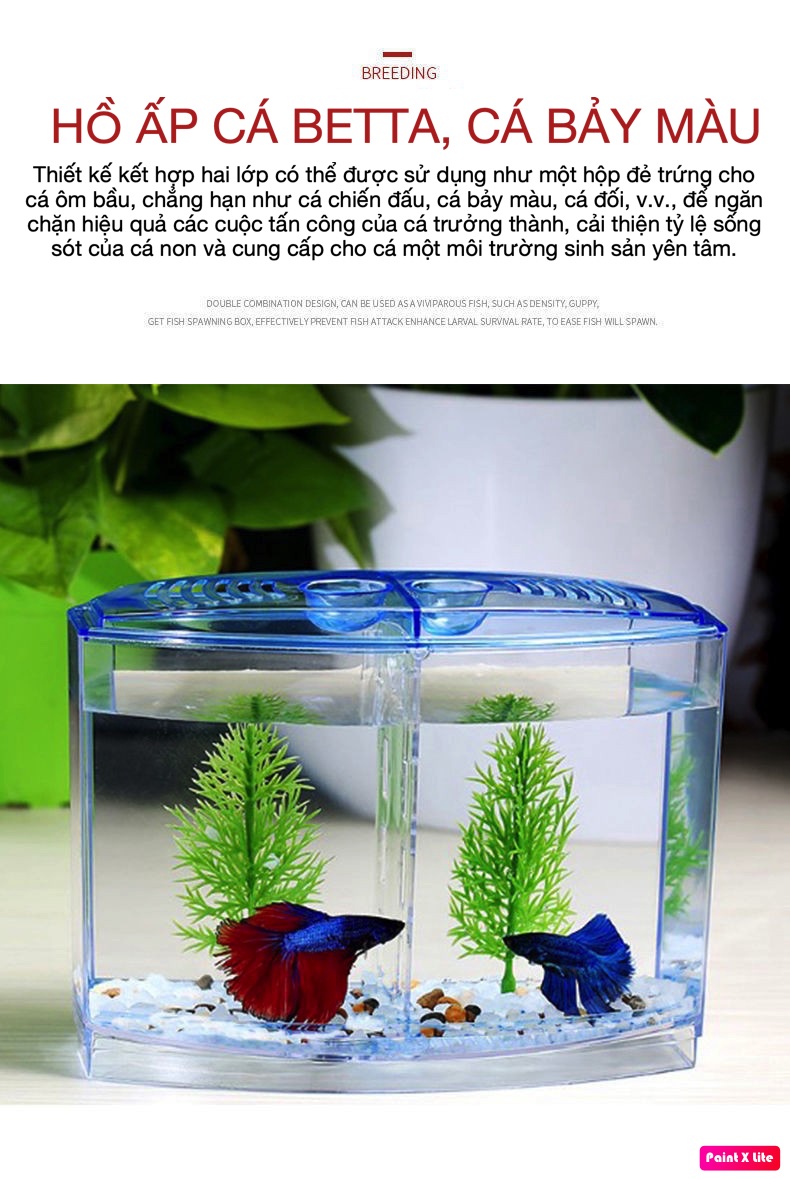 Bể cá betta mini 2 ngăn bằng nhựa - Hồ cá mini cho văn phòng
