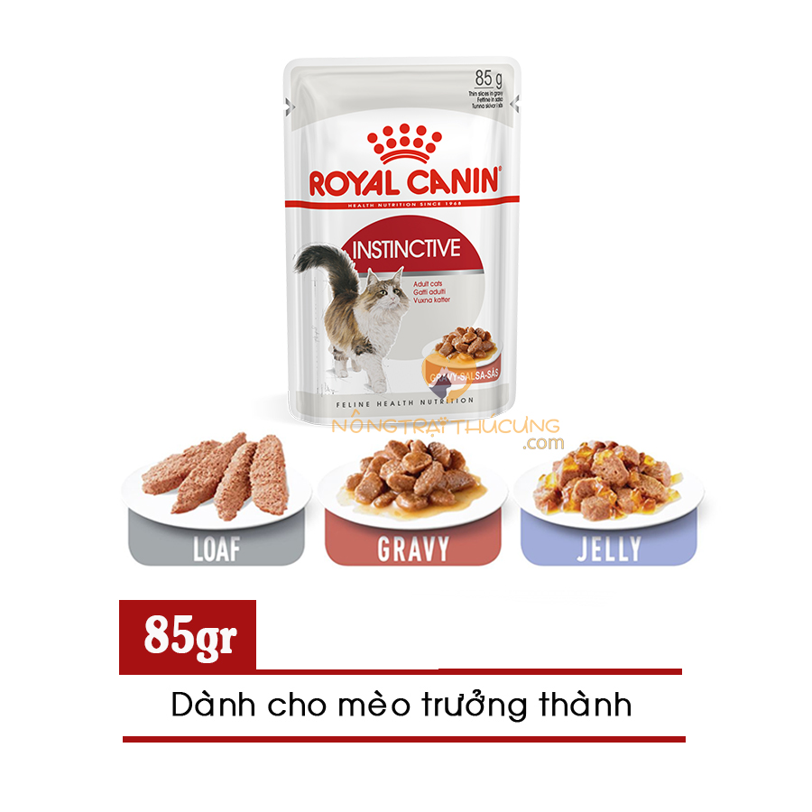 Pate Cho Mèo Lớn ROYAL CANIN INSTINCTIVE  -