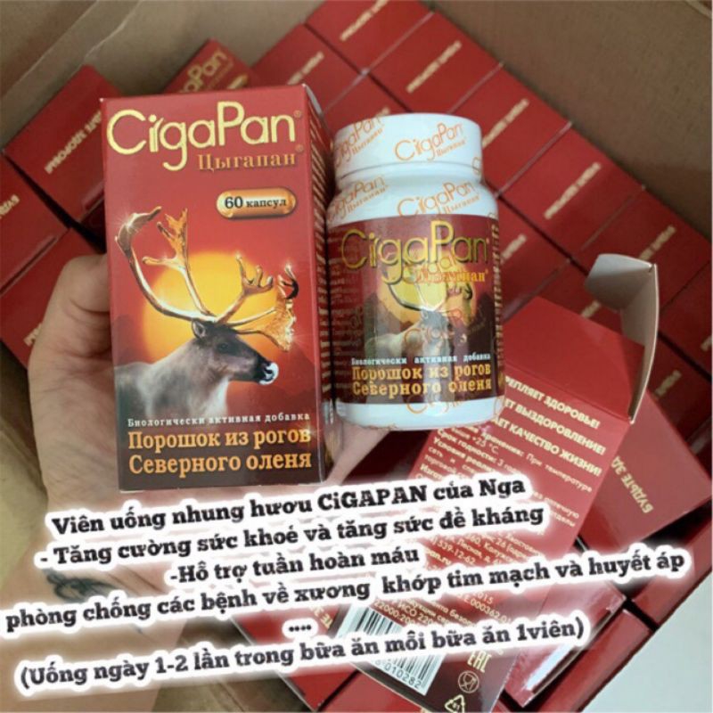 [HCM]Cigapan nga họp 60v