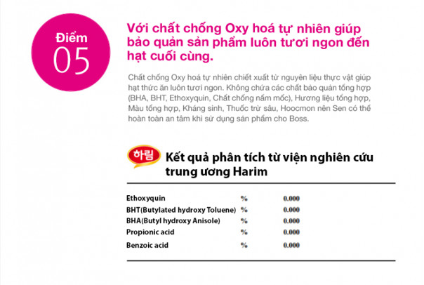 [DATE MỚI] [1kg/COMBO] Wonder Cats - Thức ăn hạt cho mèo mọi lứa tuổi nhập khẩu Hàn Quốc