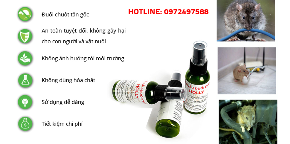 Tinh dầu đuổi chuột ô tô Holly