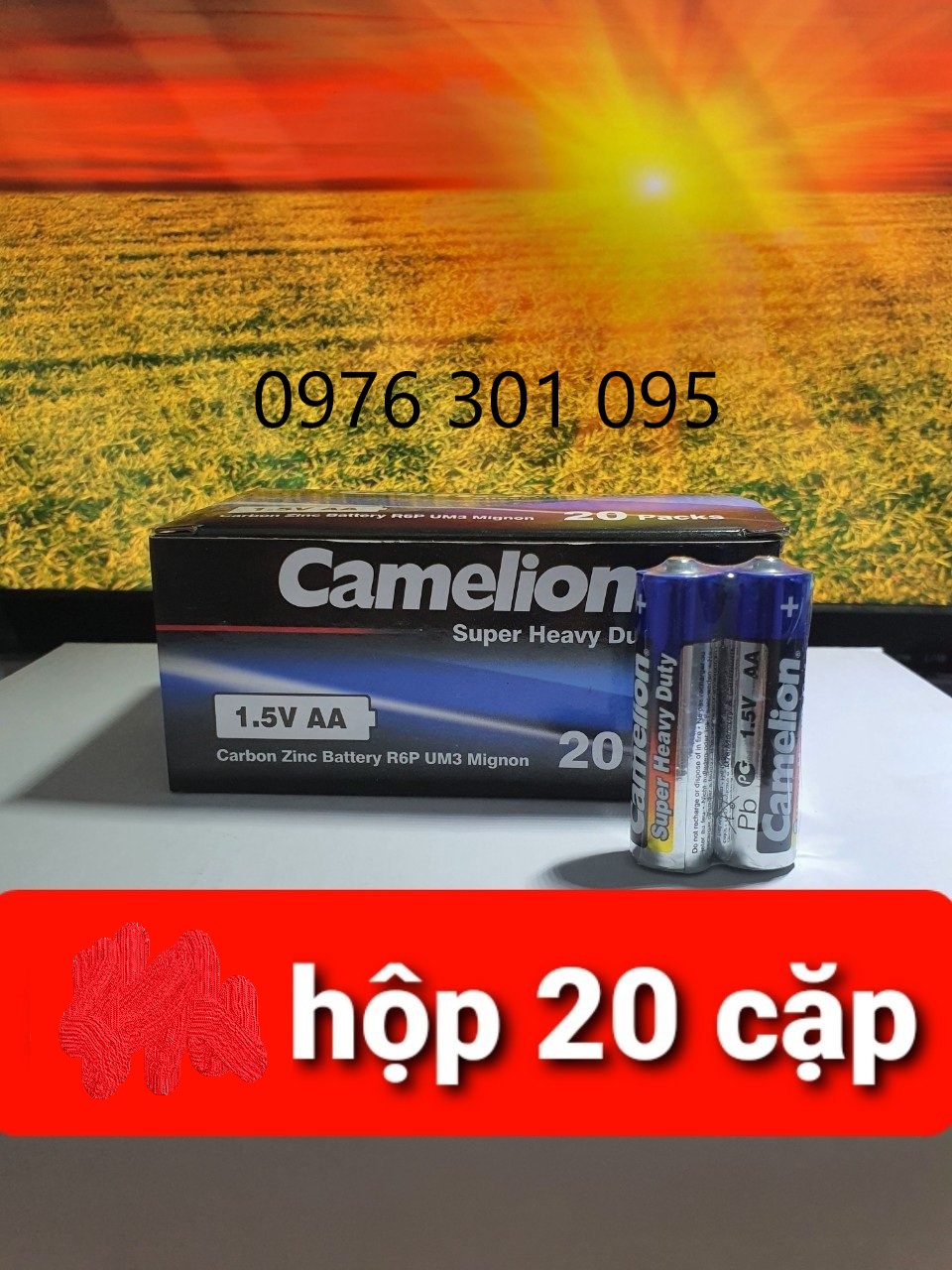 [CAMELION] Pin AA, AAA, Vuông 9V Thông Dụng ( Hộp )