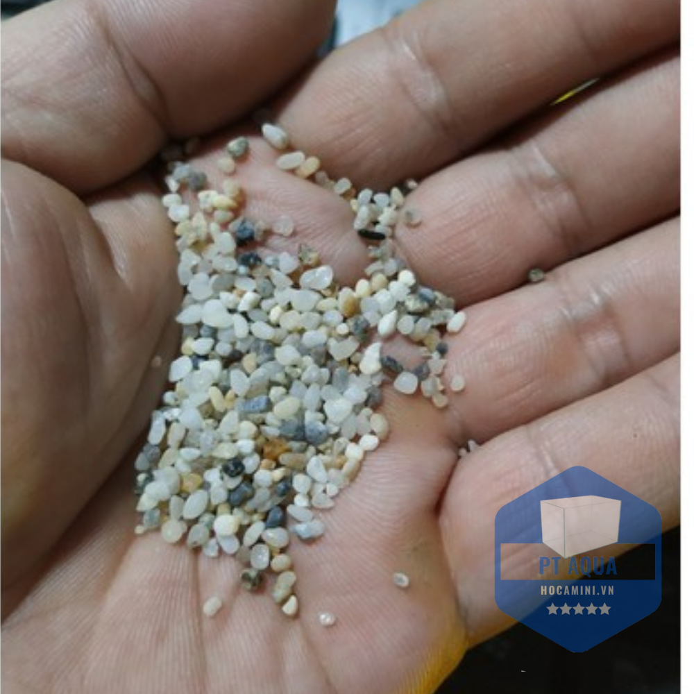 Sỏi nền hồ cá , sỏi muối tiêu trang trí hồ cá