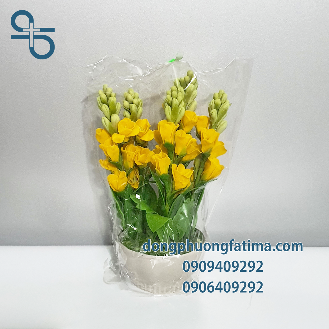 Chậu Hoa Huệ Đất Sét (Lớn)