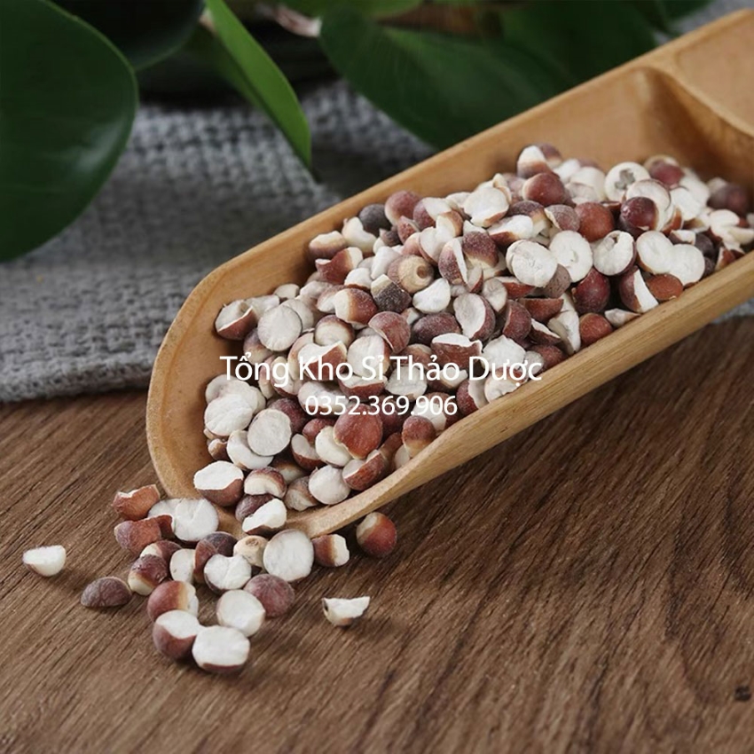 Khiếm Thực 1kg (Khiếm Thực To, Sạch)