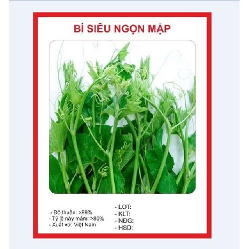 Hạt giống Bí Ngọn Siêu Mập Cao Sản ( bí ăn ngọn ) 10gr/gói