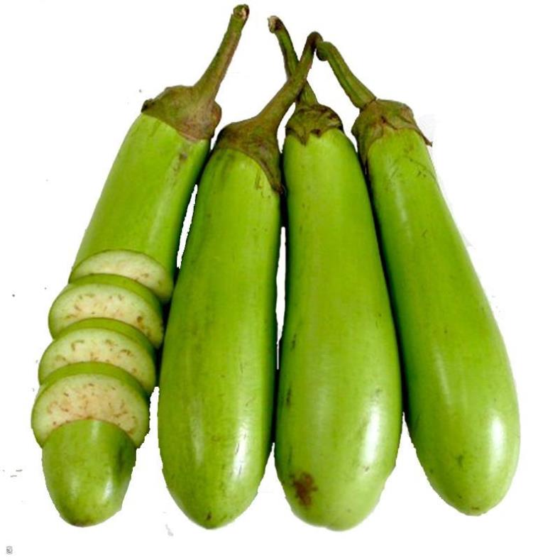 Hạt giống cà xanh mỡ dài - gói 1 gram