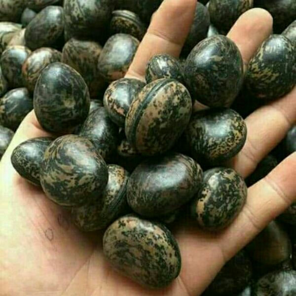 500g hạt đậu lào